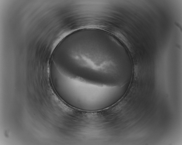 X0000101191428200807110934