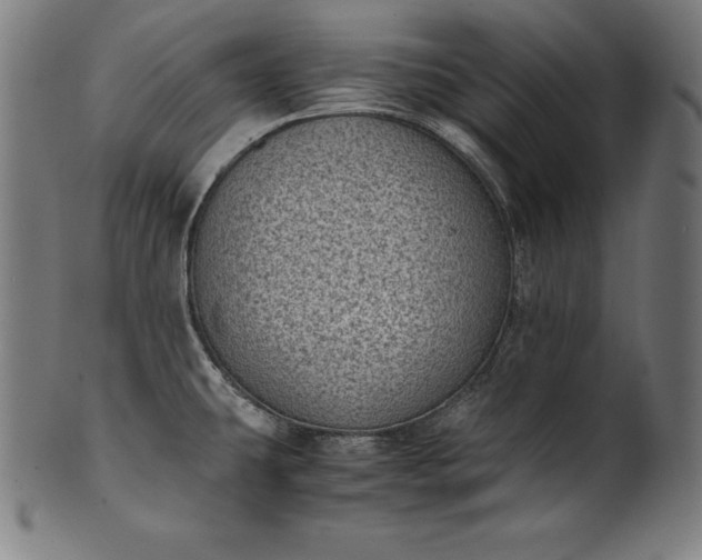 X0000101191431200807110934