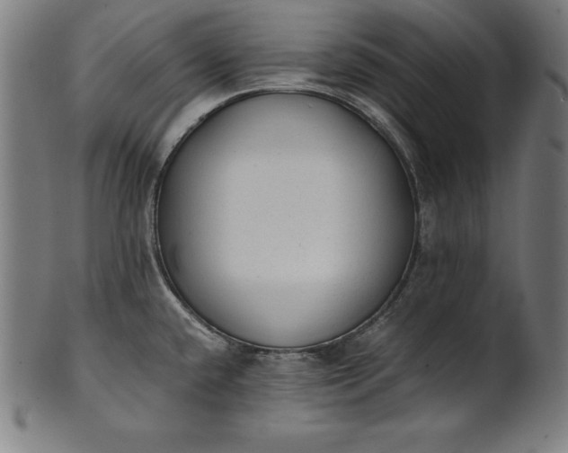 X0000101191432200807110934