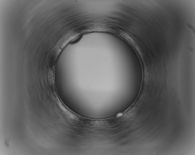 X0000101191433200807110934