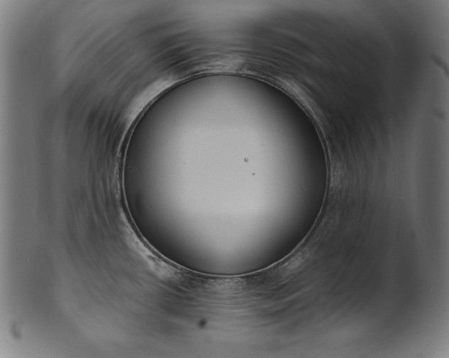 X0000101191434200807110934