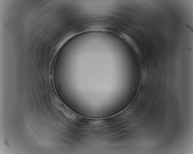X0000101191435200807110934