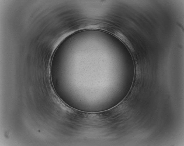 X0000101191436200807110934