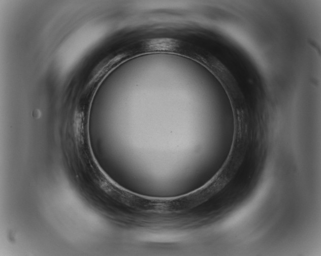 X0000101191438200807110934