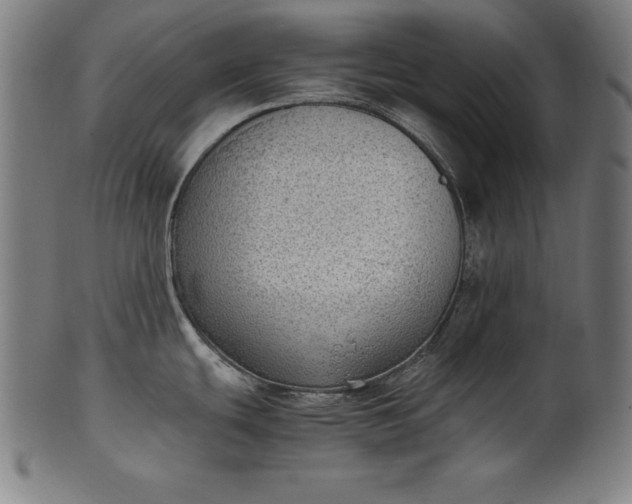 X0000101191439200807110934