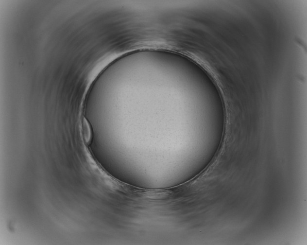 X0000101191440200807110934