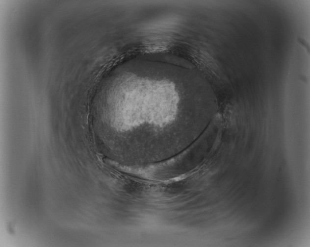 X0000101191441200807110933
