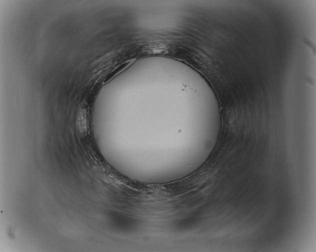 X0000101191442200807110933