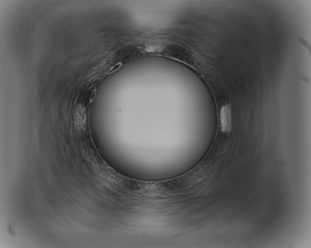 X0000101191443200807110933