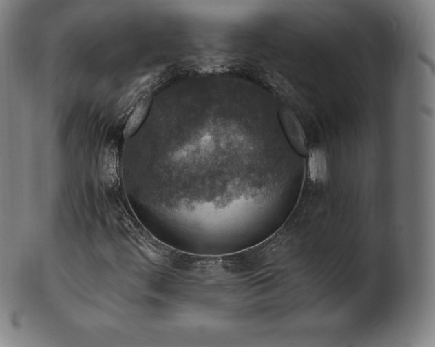 X0000101191444200807110933