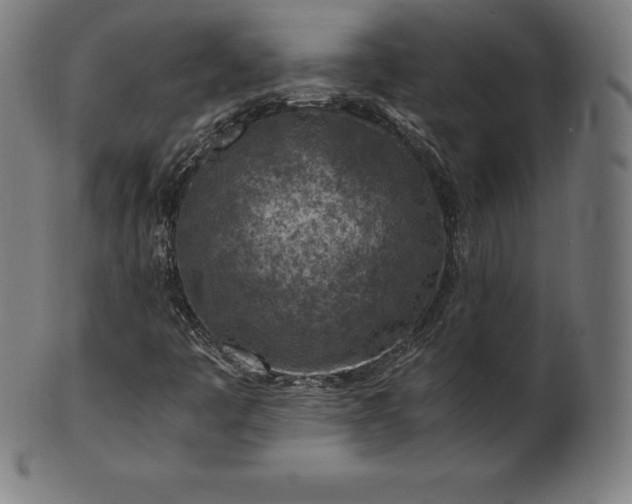 X0000101191445200807110933