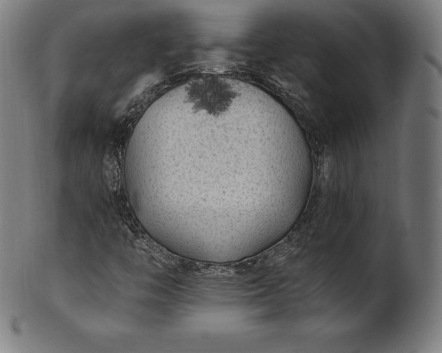 X0000101191446200807110933