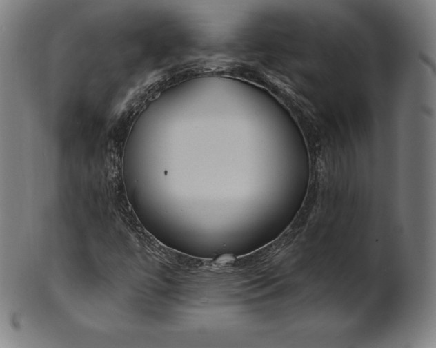 X0000101191447200807110933