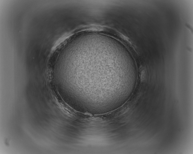 X0000101191448200807110933