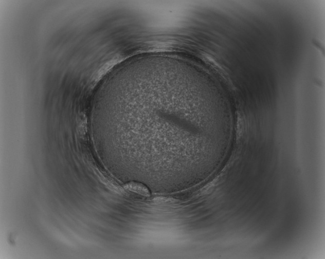 X0000101191449200807110933