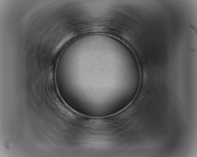 X0000101191450200807110933