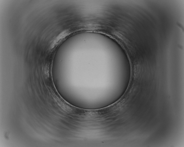 X0000101191451200807110933