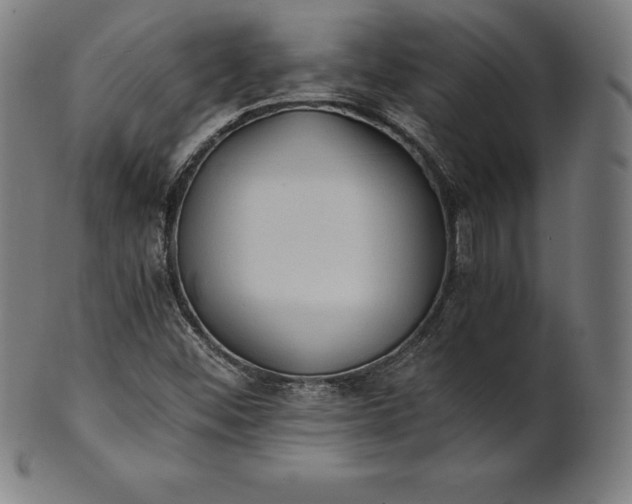 X0000101191452200807110933
