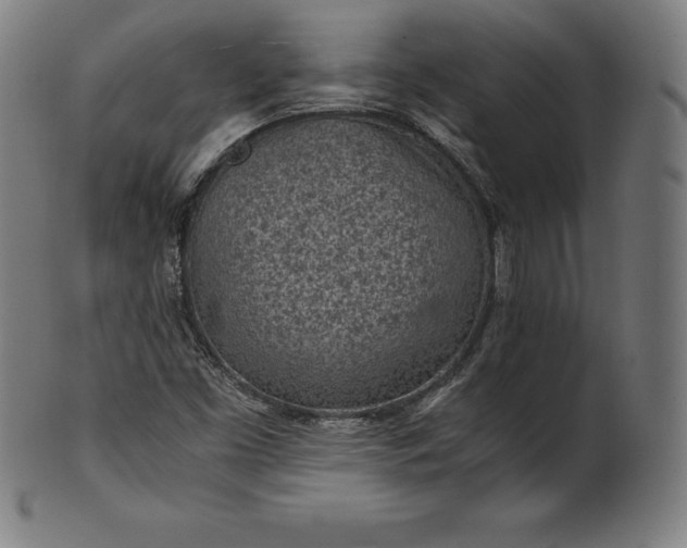 X0000101191453200807110933