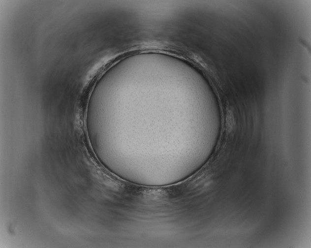 X0000101191454200807110933