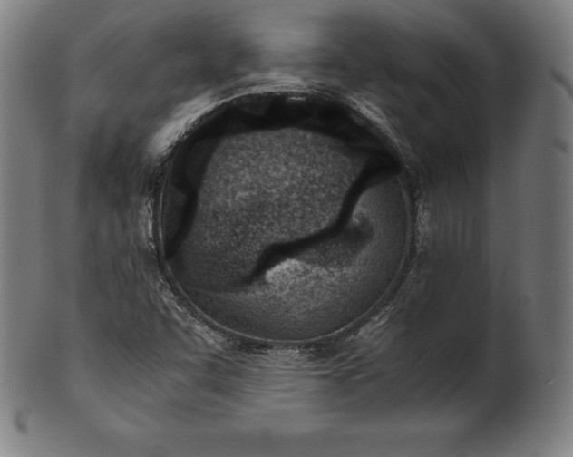 X0000101191455200807110933