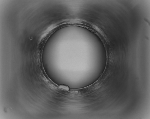 X0000101191456200807110933