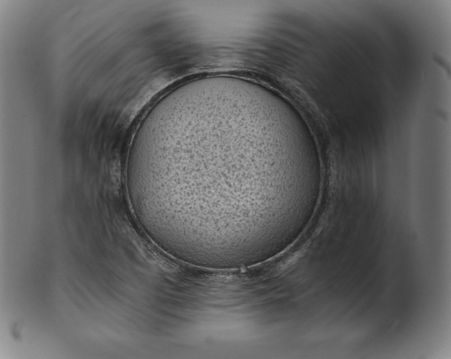 X0000101191457200807110933