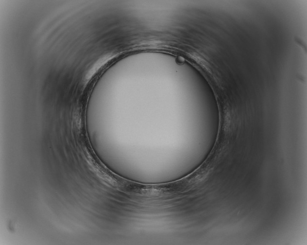 X0000101191458200807110933
