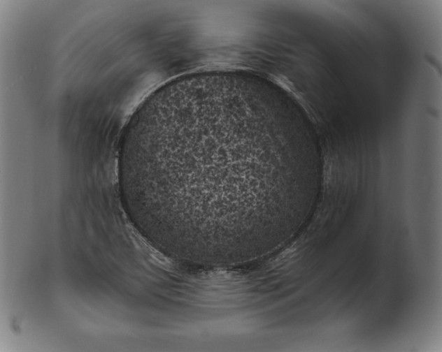 X0000101191459200807110933