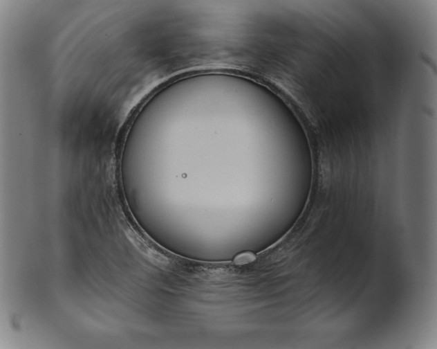 X0000101191460200807110933