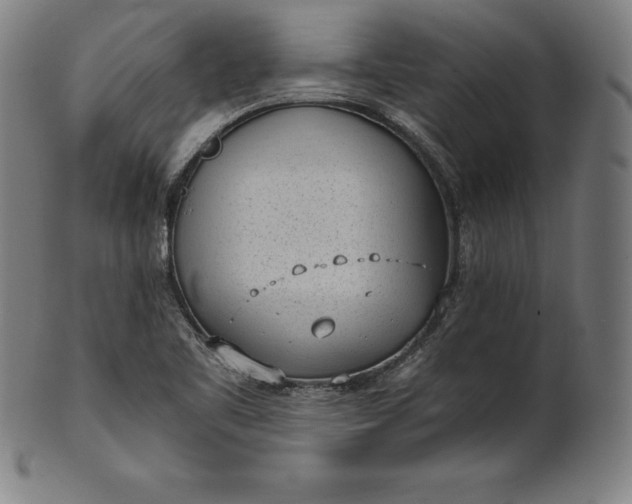 X0000101191461200807110933