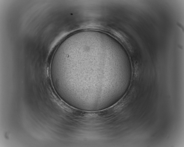 X0000101191462200807110933