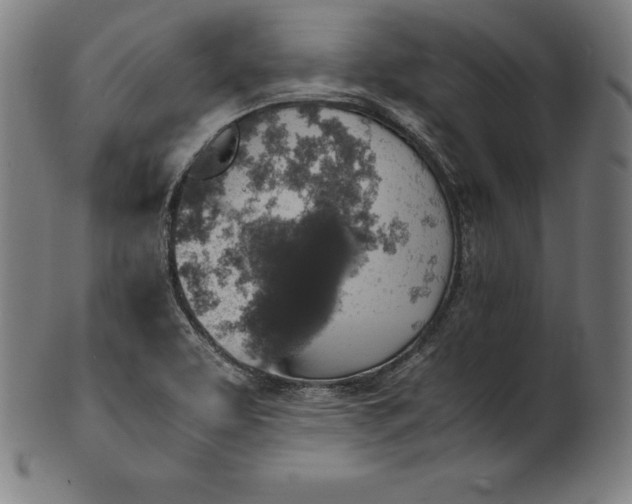 X0000101191463200807110933