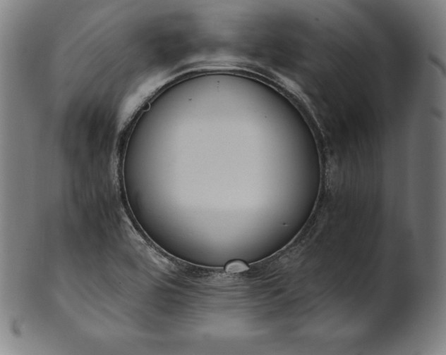 X0000101191464200807110933