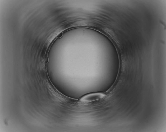 X0000101191465200807110933