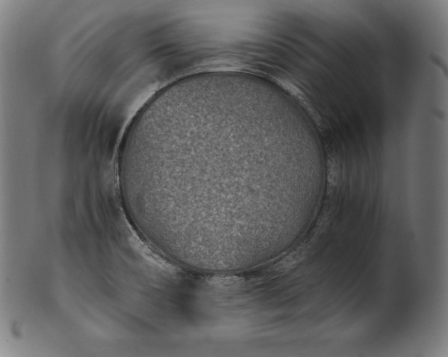 X0000101191466200807110933