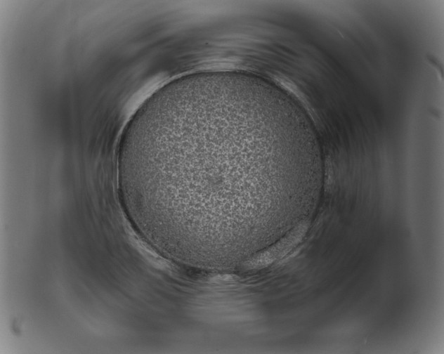 X0000101191467200807110933