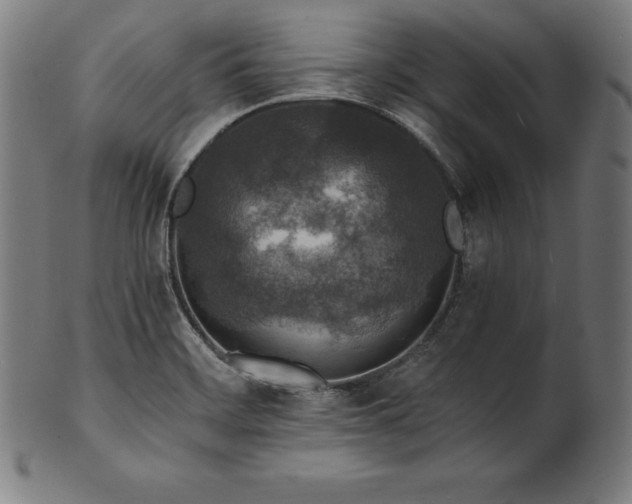 X0000101191468200807110933