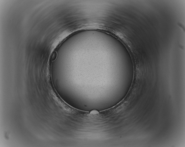 X0000101191469200807110933