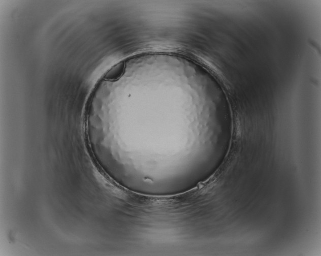 X0000101191471200807110933