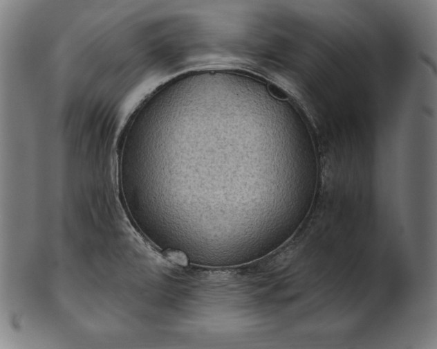 X0000101191472200807110933