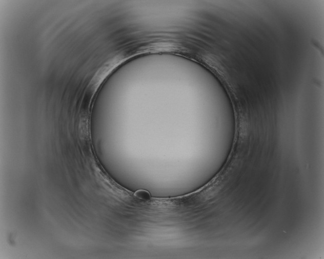 X0000101191473200807110933