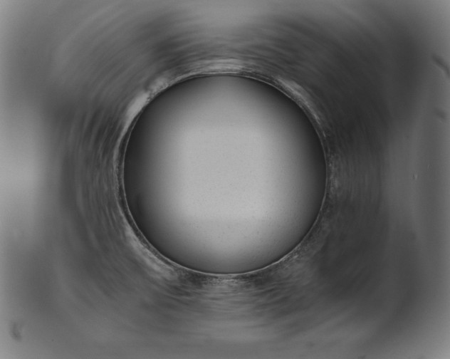 X0000101191475200807110933