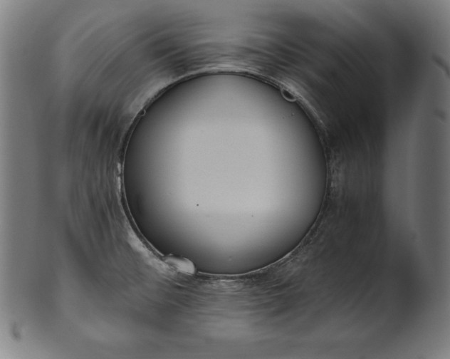 X0000101191476200807110933