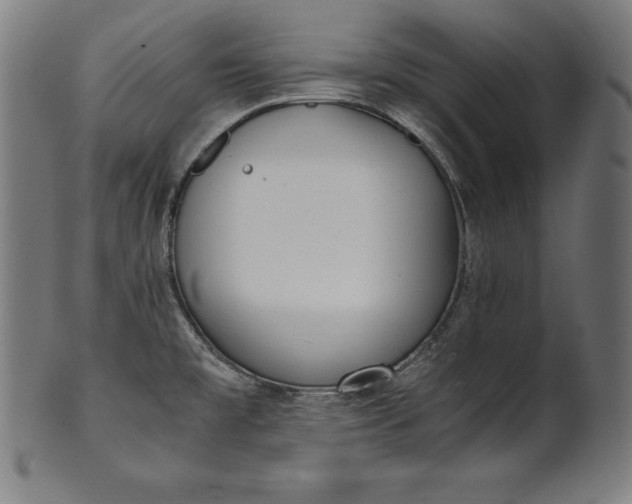 X0000101191477200807110933