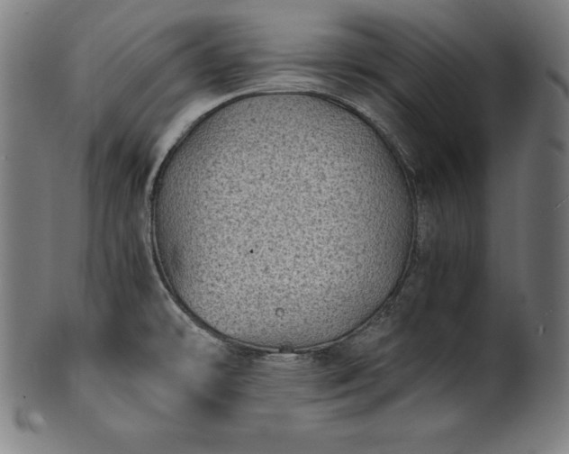 X0000101191478200807110933