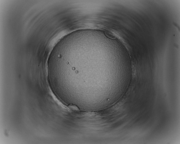 X0000101191479200807110933