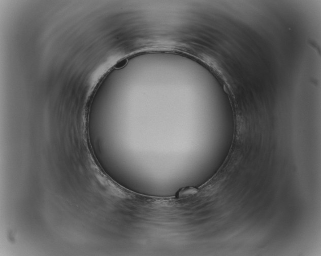 X0000101191480200807110933
