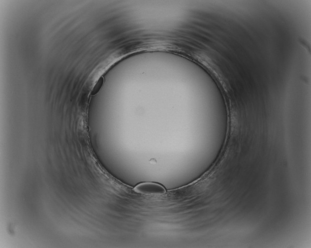 X0000101191481200807110933