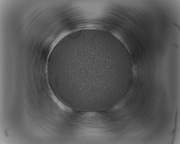 X0000101191482200807110933